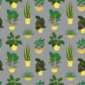 Seamless pattern with potted tropical house plants in colorful flower pots