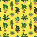 Seamless pattern with potted tropical house plants in colorful flower pots. On a yellow background
