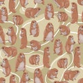 Seamless pattern with Prairie Dogs Cynomys gunnisoni in different poses Royalty Free Stock Photo