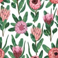 Seamless pattern with protea flowers, buds and leaves. Decorative holiday floral background.