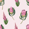 Seamless pattern with proteas flowers. Trendy floral vector print. Royalty Free Stock Photo