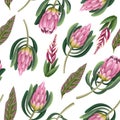 Seamless pattern with proteas flowers. Trendy floral vector print. Royalty Free Stock Photo