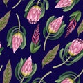 Seamless pattern with proteas flowers. Trendy floral vector print. Royalty Free Stock Photo