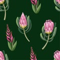 Seamless pattern with proteas flowers. Trendy floral vector print. Royalty Free Stock Photo
