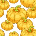 Seamless pattern pumpkin is a real vegetable vegetarian. vector