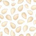 Seamless pattern with pumpkin seeds. Vector illustration.