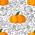 Seamless pattern with pumpkin and spice. Hand drawn Autumn backdrop. Doodle Outline vector Pumpkin pie spice Royalty Free Stock Photo