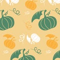 Seamless pattern pumpkins of different colors autumn harvest Halloween Vector Royalty Free Stock Photo