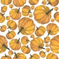 Seamless pattern Pumpkins. Hand painted watercolor. Handmade fresh food design elements isolated Royalty Free Stock Photo