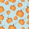 Seamless pattern with pumpkins. Orange pumpkins of different sizes. Wallpaper, print, packaging, paper, textile design. Vector Royalty Free Stock Photo