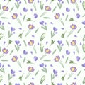 Seamless pattern with purple crocuses, green leaves. Spring flowering. Floral pattern can be used as textile, fabric