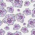 Seamless pattern with purple flowers roses. Linear art. Floral texture background