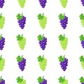 Seamless pattern with purple and green grapes on white background. Bunch of purple grapes with stem and leaf. Vector illustration Royalty Free Stock Photo