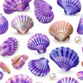 Seamless Pattern, Purple And Pink Open Clam Shells With Pearls, Scattered On White Background Royalty Free Stock Photo