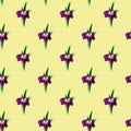 Seamless pattern of purple Tulip concrete on a yellow background Royalty Free Stock Photo