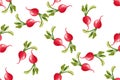 Seamless pattern of radishes