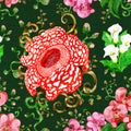 Seamless pattern with rafflesia, calla and orhid flower on green background Royalty Free Stock Photo