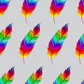 Seamless pattern with rainbow feathers