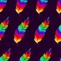 Seamless pattern with rainbow feathers