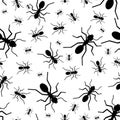 Seamless pattern of the random silhouette black ants. Vector illustration. Isolated on white background