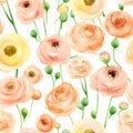 Seamless watercolor pattern with floral plants RANUNCULUS. Vector Illustration