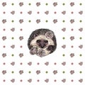 Seamless pattern with ranunculus flowers, circles and a hedgehog muzzle in the center