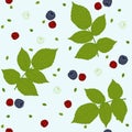 Seamless pattern with raspberries, blackberries and green leaves on a white field. Royalty Free Stock Photo