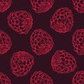 Seamless Pattern of Raspberries, Fruit Pattern.