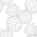 Seamless pattern raspberry berry natural ripe summer. vector ill