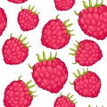 Seamless pattern raspberry berry natural ripe summer. vector ill