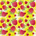 Seamless Pattern Raspberry Fruits Summer Ornament Background