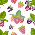 Seamless pattern of raspberry