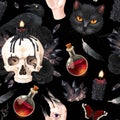 Seamless pattern with raven and black cat Royalty Free Stock Photo