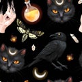 Seamless pattern with raven and black cat