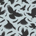 Seamless pattern with ravens and black feathers. Cute flying crow birds vector illustration Royalty Free Stock Photo