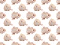 Seamless pattern of raw chicken on a white background. The view from the top. Creative packaging design.