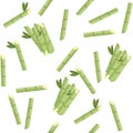 Seamless pattern raw green sugar canes vector illustration on white background Royalty Free Stock Photo