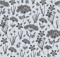 Seamless pattern realist isolated flowers Vintage background Wahlenbergia Hemlock Drawing engraving Vector illustration victorian Royalty Free Stock Photo