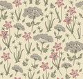 Seamless pattern realist isolated flowers Vintage background Wahlenbergia Hemlock Drawing engraving Vector illustration victorian Royalty Free Stock Photo
