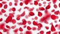 Seamless pattern with realistic flying red rose petals on transparent background. Repeating texture with voluminous Royalty Free Stock Photo