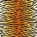 Seamless pattern. Realistic imitation of skin of tiger. Black stripes on orange and white background. Animal print