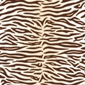 Seamless pattern. Realistic imitation of skin of white bengal tiger. Brown stripes on white background. Animal print