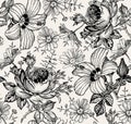 Seamless pattern. Realistic isolated flowers. Vintage background. Chamomile Rose hibiscus mallow. Wallpaper. Drawing engraving. Royalty Free Stock Photo