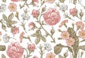 Seamless pattern. Realistic isolated flowers. Vintage background. Rose primrose Primula Wallpaper. Drawing engraving. Royalty Free Stock Photo