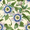 A seamless pattern with realistic passionflowers Royalty Free Stock Photo