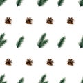 Seamless pattern with realistic pine tree branches and cones.