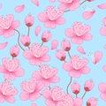 Seamless pattern with realistic pink sakura flower on branches. Japanese blooming cherry. Background symbolizing spring Royalty Free Stock Photo