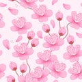 Seamless pattern with realistic pink sakura flower on branches. Japanese blooming cherry. Background symbolizing spring Royalty Free Stock Photo