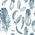 Seamless pattern Realistic sketch of bird Feather on isolated background. Detailed ink Line pen Clip Art, Black and Royalty Free Stock Photo