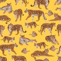 Seamless pattern. Realistic tiger Panthera tigris and cubs in different poses. The tiger stands, lies, goes, hunts. Animals of Asi